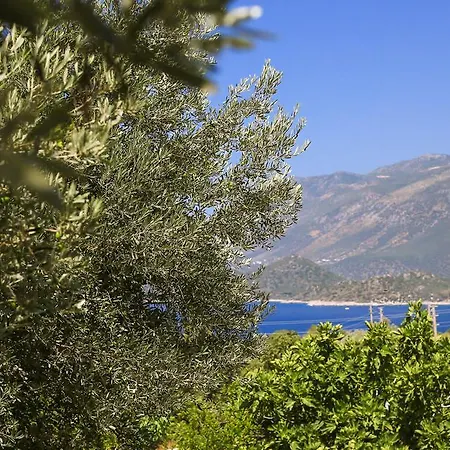 Vakantiehuis Kaktus Cakil