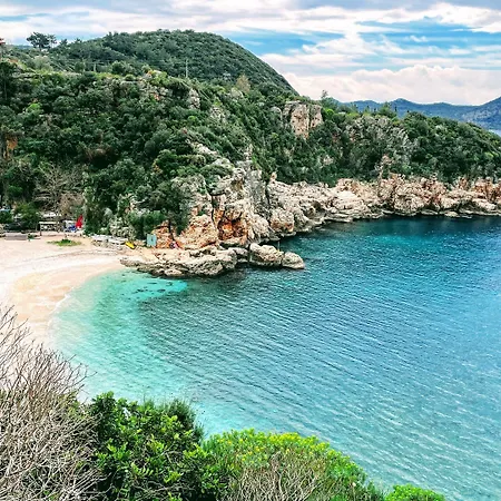 Kaktus Cakil Сasa de vacaciones