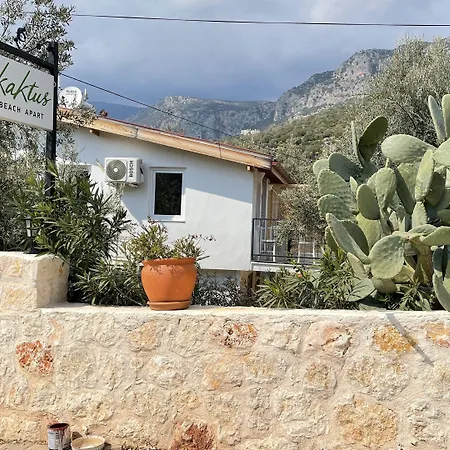 Kaktus Cakil Сasa de vacaciones Kaş