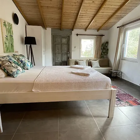 Kaktus Cakil Сasa de vacaciones