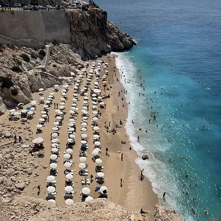 Kaktus Cakil Сasa de vacaciones